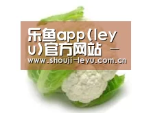 产品名称九
