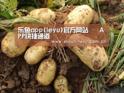 种植基地六