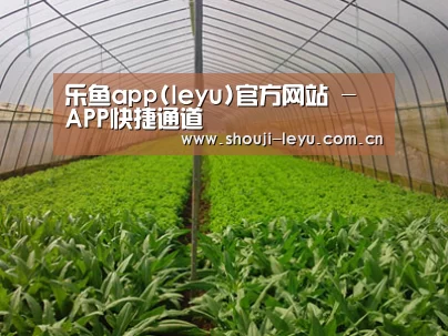 种植基地四