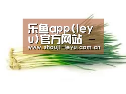 产品名称二