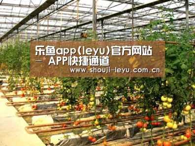 种植基地二(图1)