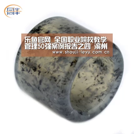 官方登录通道