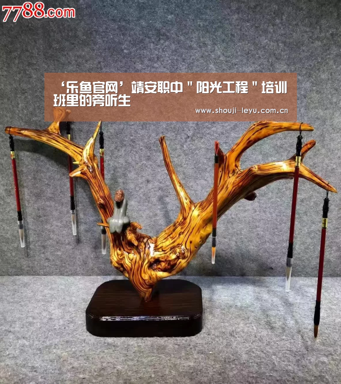 中国站入口