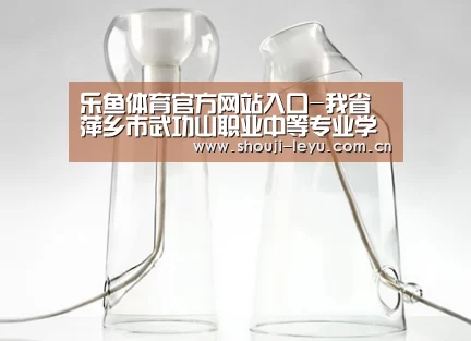 乐鱼体育官方网站入口-我省萍乡市武功山职业中等专业学校王祖德老师载誉归来(图4) 乐鱼官网