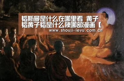 韬斯曼是什么在哪里看 黄子韬黄子韬是什么梗哪部漫画【中国站入口】(图3) 中国站入口
