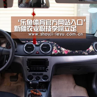 ‘乐鱼体育官方网站入口’新疆农业职技学院立足高职创新党建工作新模式(图1) 中国站入口